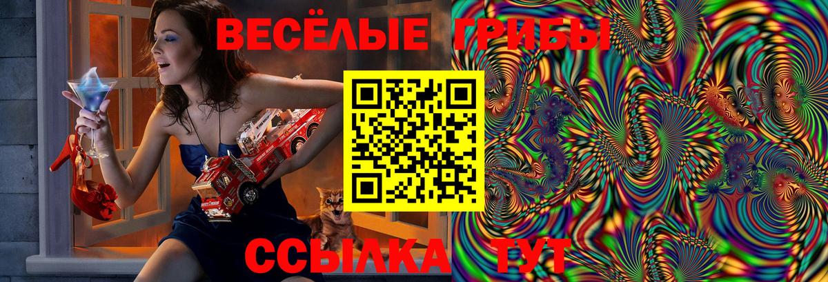 Галлюциногенные грибы прущие грибы Советская Гавань
