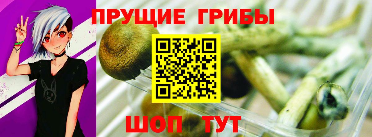 Советская Гавань  Псилоцибиновые грибы Psilocybe  Псилоцибиновые грибы Psilocybe  Вход с VPN 
